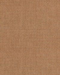 Lorenzo 14 Pongee by   