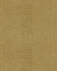 Lorenzo 509 Marigold by   