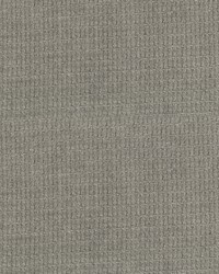 Lorenzo 98 Pewter by   