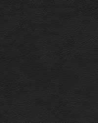 Madrid 7 Black by  Abbeyshea Fabrics 