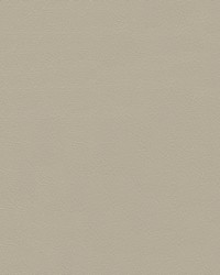 Madrid Soft 9831 Off White by   