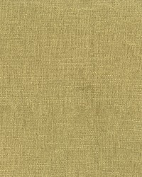 Maestro 205 Lichen by   