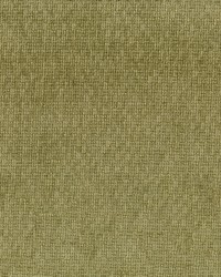 Marvel 205 Sawgrass by   