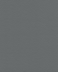 Mercedes 7313 Orion Gray by   