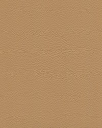 Mercedes 7314 Java by   