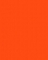 Mercury 403 Orange by   