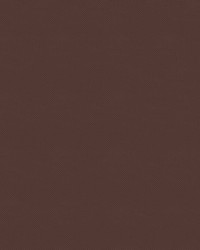 Mercury 8006 Brown by   