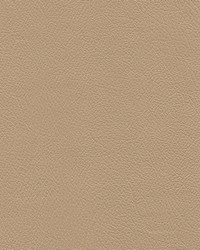 Milled Pebble 7360 LightParchment by   