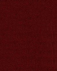 Monroe 14 Chipotle by   