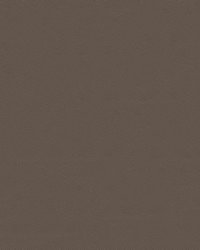 Monticello 7043/6009 Med Neutral by   