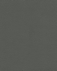 Monticello 7432 Md Dk Pewter by   