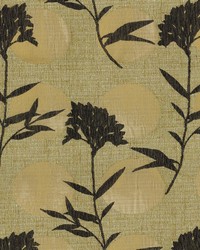 Moon Shadow 205 Pistachio by   