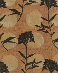 Moon Shadow 54 Sunset by   