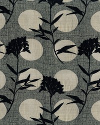 Moon Shadow 92 Panda by   