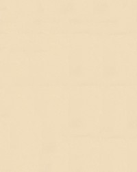 Navigator 9894 Parchment by   