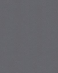 Navigator NAV 9898 Dolphin by   