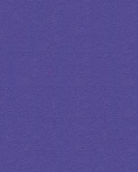 Navigator NAV 9907 Purple Passion by   