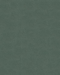 Neoprene 9006 Graphite51x83 by  Abbeyshea Fabrics 