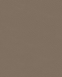 Nuance 2453 Sandstone by   