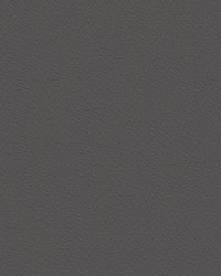 Nuance 2460 Medium Grey by   