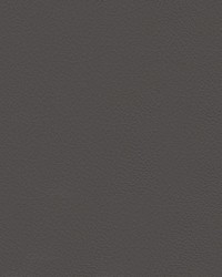 Nuance 2461 Medium Dark Pewter by   