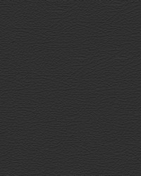 Nuance 2462 Very Dark Pewter by   