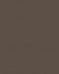Nuance 2463 Medium Neutral by   