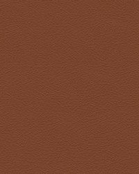 Nuance 2467 Turmeric by   