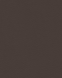 Nuance 2468 Grouse by   