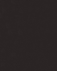 Nuance 2470 Coffee Bean by   