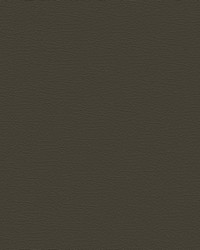 Nuance 2471 Eclipse by   