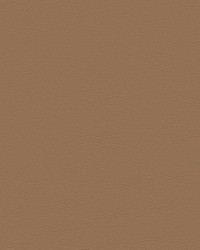 Nuance 2472 Chamois by   