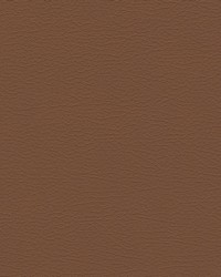 Nuance 2473 Cognac by   