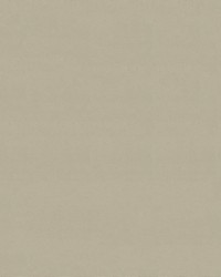 Odyssey 499/6006 Birch by   