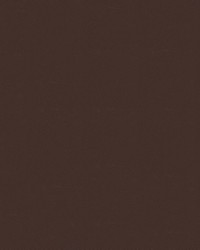 Odyssey 491/808 Brown by   