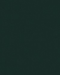 Odyssey 488/2009 Forest Green by   