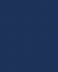 Odyssey 480/308 Royal Blue by   