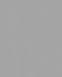 Odyssey 489/9003 Silver Grey by   