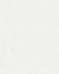 Odyssey 487/61 White by   