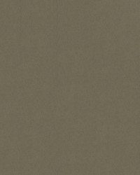 Odyssey Soft Touch Taupe by   