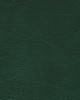 Abbeyshea Fabrics Enduratex Oxen 4564 Dark Green