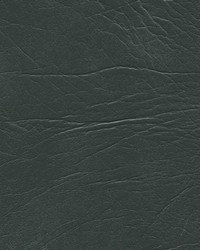 Oxen 5952 Char Gray Enduratex by   