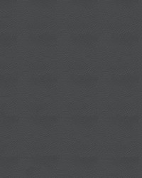 Pegasus 1614 Gunmetal by   