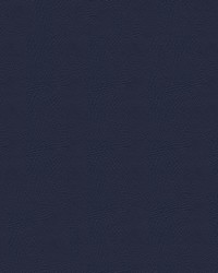 Pegasus 1615 Midnight by   