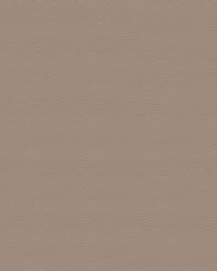 Pegasus 1616 Sand Dollar by   