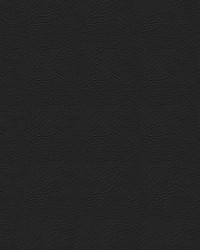 Pegasus 1618 Ebony by   