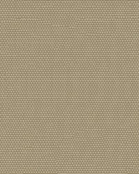 Phifertex Plus 3007145 Stucco OY3 by   