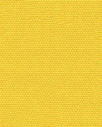 Phifertex Plus 3007147 Lemon Yellow 406 by   