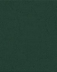 Phifertex Plus 3007154 Holly Green CL1 by   
