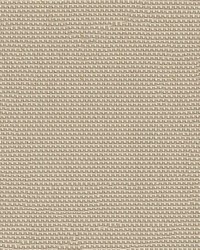 Phifertex Plus 3007163 Grey Sand X00 by   